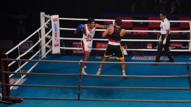 Finals: Gujarat Giants vs Punjab Panthers Finals: Gujarat Giants vs Punjab Panthers